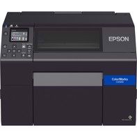 Epson C6500