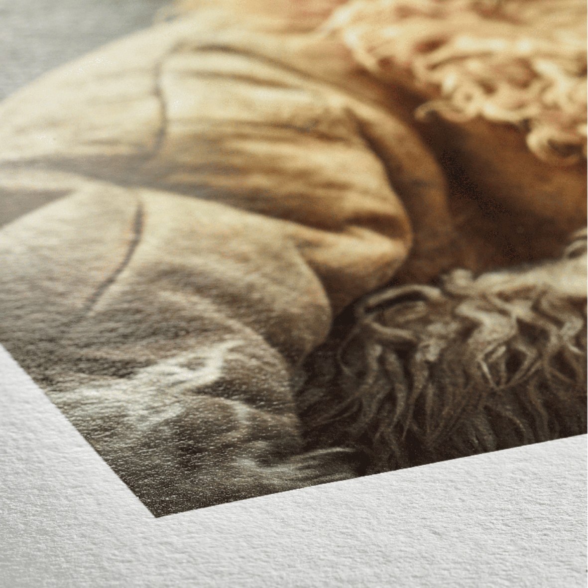 Portrait Rag 305 g/m² 