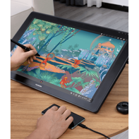Huion Kamvas 24 Plus