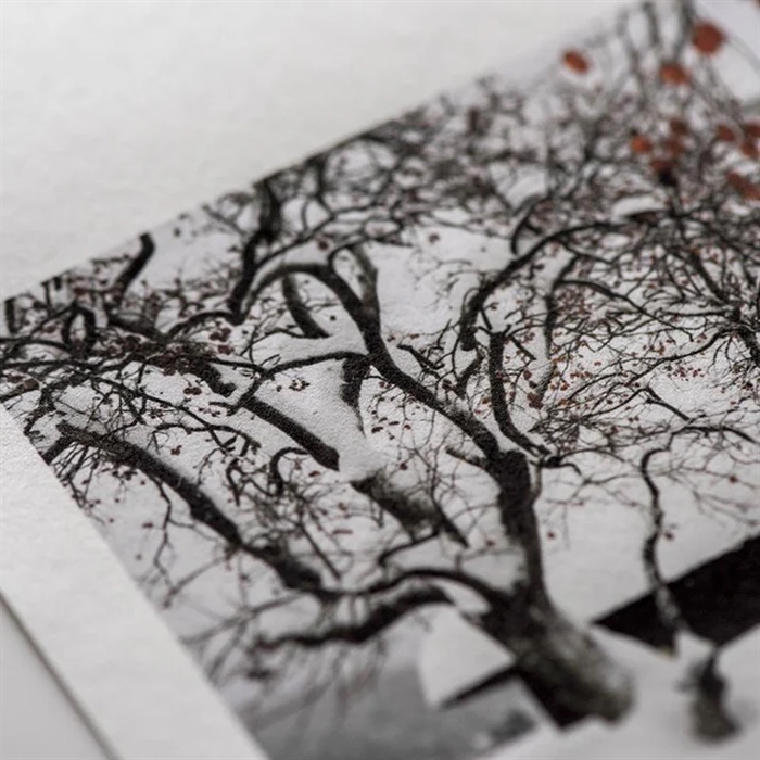 Awagami Kozo Thick White - 110 g/m², 24" x 15 meter