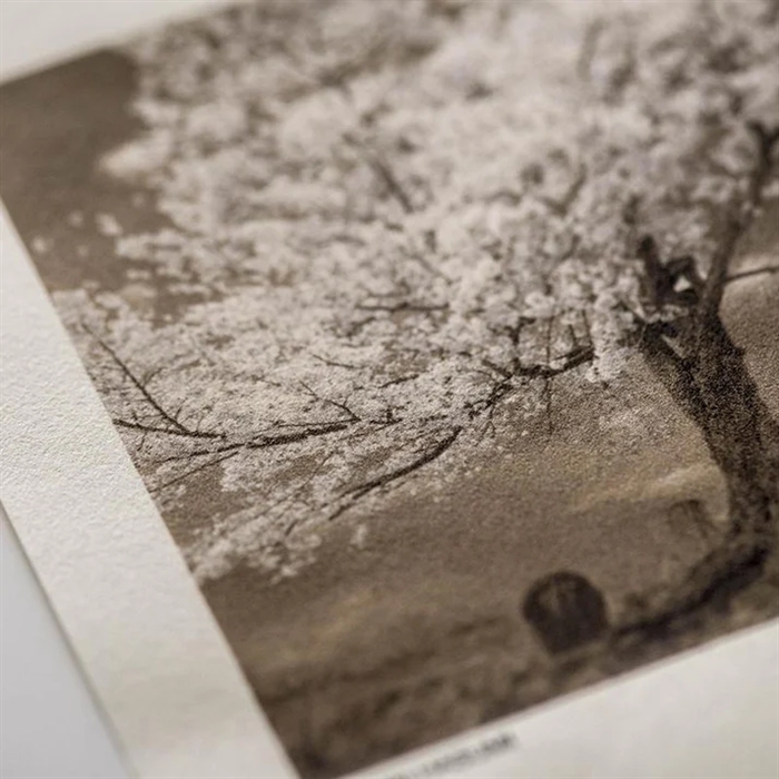 Awagami Kozo Thin Natural - 70 g/m², 44" x 15 meter