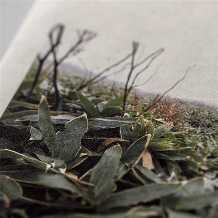 Awagami Mitsumata White Double Layered - 95 g/m², 44" x 15 meter