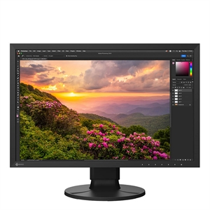 EIZO ColorEdge CS2400S 24" Black