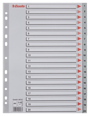 Esselte Register PP A4 1-20 grå