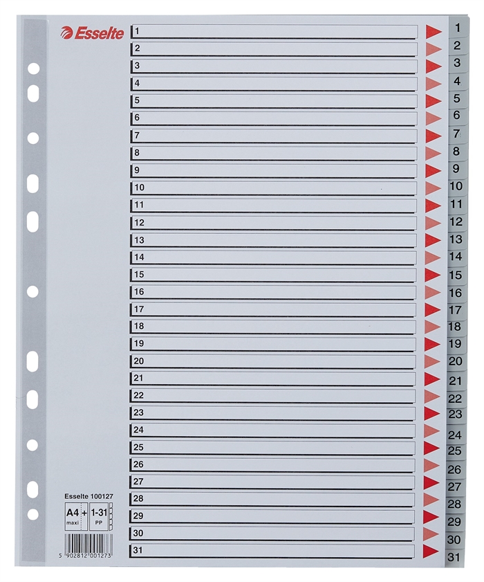 Esselte Register PP A4 maxi 1-31 grå