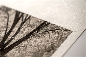 Awagami Premio Unryu - 165 g/m², A4 10 ark