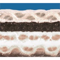 Phoenix Blueprint gummidug til KBA Rapida 105/106