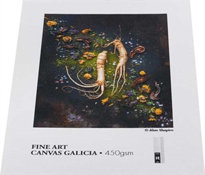 Ilford Galerie FineArt Canvas Galicia 450 g/m² - 36" x 15 meter