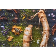 Ilford Galerie FineArt Canvas Galicia 450 g/m² - 24" x 15 meter