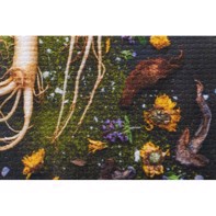 Ilford Galerie FineArt Canvas Galicia 450 g/m² - 24" x 15 meter