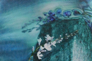 Ilford Galerie FineArt Smooth Pearl 270 g/m² - 50"x 15 meter (FSC)