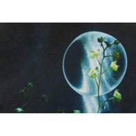 Ilford Galerie Smooth Cotton Rag 310 g/m² - 17" x 15 meter (FSC)