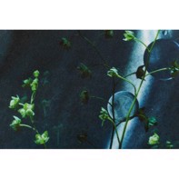 Ilford Galerie Smooth Cotton Rag 310 g/m² - 17" x 15 meter (FSC)