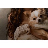 Ilford Galerie Smooth Pearl 310 g/m² - 24" x 27 meter (FSC)