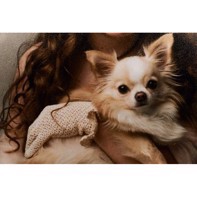 Ilford Galerie Smooth Pearl 310 g/m² - 64" x 27 meter (FSC)