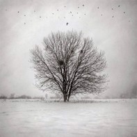 Ilford GALERIE Tesuki-Washi Echizen Warmtone  Smooth 110 - A1+ deckle edge, 5 sheets