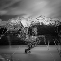 Ilford GALERIE Tesuki-Washi Echizen Warmtone 90 - A1+ deckle edge, 5 sheets