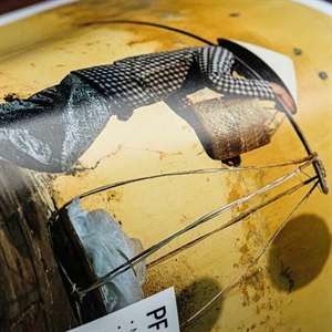 Fotospeed PF Lustre 310 g/m² - A3, 25 ark