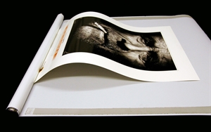 Permajet FineArt Anti-Curl Roller 24" ( 38 mm core) - 610 mm 