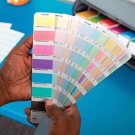 Pantone Pastels & Neons, Coated & Uncoated - GG1504C