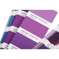 Pantone F&H Color Guide - FHIP110C
