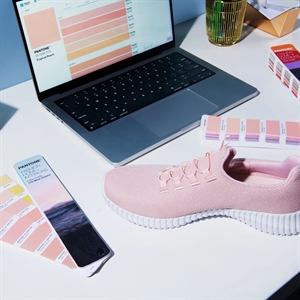 Pantone F&H Color Guide - FHIP110C