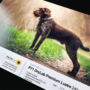 Permajet P71 Premium Lustre Drylab Roll 240 g/m² - 4\'\' x 65 meter