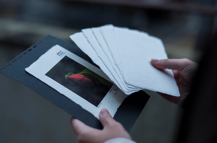 Awagami Shiramine Postcards - 260 g/m², 5 ark