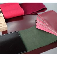 RAL DESIGN SYSTEM Plus D6 (1825 COLORS) - A6 Colour Sheets in a carry case